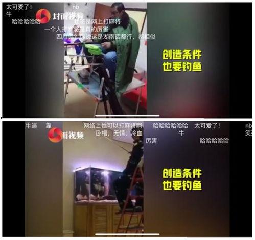 娱乐爆料时代,娱乐爆料时代的风云变幻 第3张 娱乐爆料时代,娱乐爆料时代的风云变幻 第3张